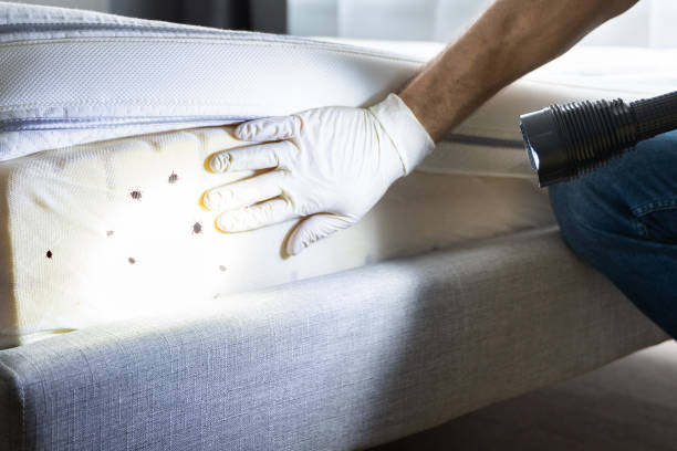 Best Exterminator Services  in Rome City, IN