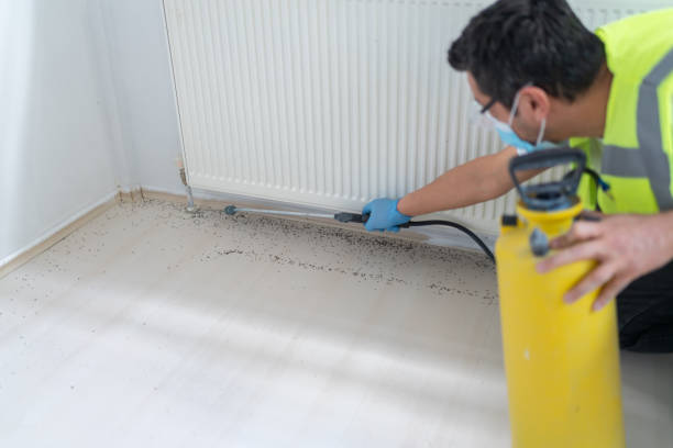 Best Pest Inspection Near Me  in Rome City, IN