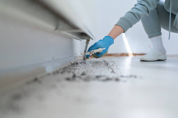 Best Insect Control  in Rome City, IN